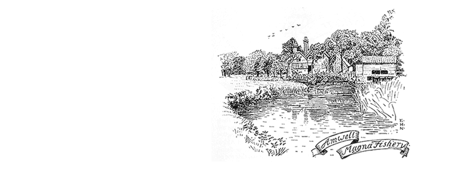 Engraving showing Amwell Magna Fishery by Edmund Hort New